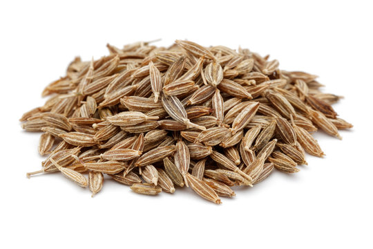 Cumin Seeds Jeera exported by Satnaam Exim India